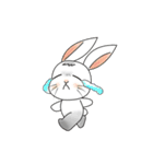 Carol's rabbits（個別スタンプ：20）