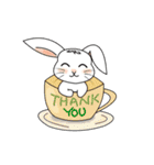 Carol's rabbits（個別スタンプ：22）