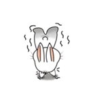 Carol's rabbits（個別スタンプ：25）