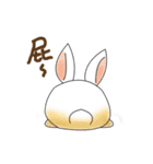 Carol's rabbits（個別スタンプ：30）