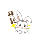 Carol's rabbits（個別スタンプ：34）