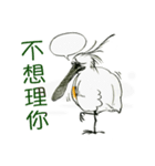 I'm so Happy（個別スタンプ：19）