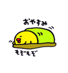 私の僕のひよこちん（個別スタンプ：39）