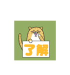 斎藤さんとねこ（個別スタンプ：7）