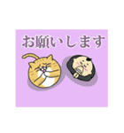 斎藤さんとねこ（個別スタンプ：26）