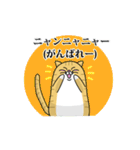 斎藤さんとねこ（個別スタンプ：29）