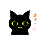 黒猫な毎日（個別スタンプ：1）