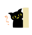 黒猫な毎日（個別スタンプ：5）
