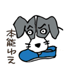パタパタ垂れ耳犬（個別スタンプ：11）