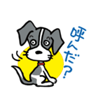 パタパタ垂れ耳犬（個別スタンプ：13）