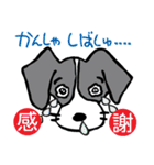 パタパタ垂れ耳犬（個別スタンプ：22）