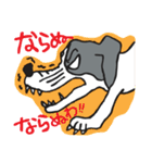 パタパタ垂れ耳犬（個別スタンプ：25）