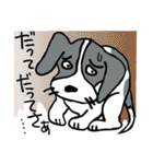 パタパタ垂れ耳犬（個別スタンプ：28）