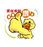 Duck "HO-LI-KI-YA" (Chinese)（個別スタンプ：5）
