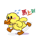 Duck "HO-LI-KI-YA" (Chinese)（個別スタンプ：26）