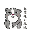 Strange Mouse（個別スタンプ：1）