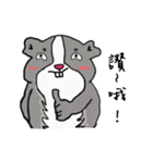Strange Mouse（個別スタンプ：5）