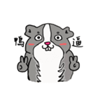Strange Mouse（個別スタンプ：7）