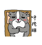 Strange Mouse（個別スタンプ：8）