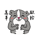 Strange Mouse（個別スタンプ：10）