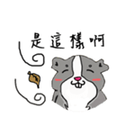 Strange Mouse（個別スタンプ：24）