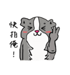 Strange Mouse（個別スタンプ：37）