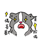 Strange Mouse（個別スタンプ：40）