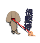 Dachshund says what？（個別スタンプ：27）