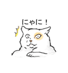 猫も物申す（個別スタンプ：2）