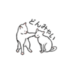 猫も物申す（個別スタンプ：3）