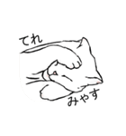 猫も物申す（個別スタンプ：11）