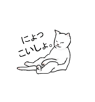 猫も物申す（個別スタンプ：19）