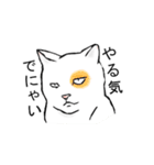 猫も物申す（個別スタンプ：27）