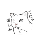 猫も物申す（個別スタンプ：28）