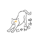 猫も物申す（個別スタンプ：29）