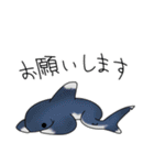 サメまみれ（個別スタンプ：7）
