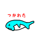 いる・か太郎（個別スタンプ：6）