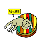 虹猫キャン（個別スタンプ：7）