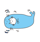 ねこあざらしの生活（個別スタンプ：11）