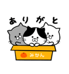 日々にゃんこ（個別スタンプ：37）