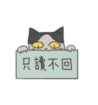 Mr K Loves Surfing（個別スタンプ：37）