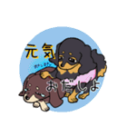 かまってムギたん、時々もも（個別スタンプ：36）