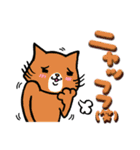 ねこ！ねこ？ねこ♪ねこ！！！（個別スタンプ：2）