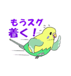 HappyなHAPPY 2（個別スタンプ：35）