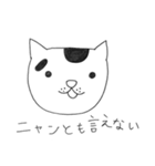 凡猫すず（個別スタンプ：29）