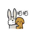 Money day（個別スタンプ：8）
