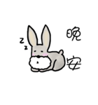 Money day（個別スタンプ：21）