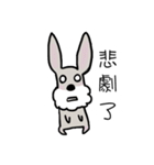 Money day（個別スタンプ：24）