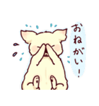 犬のひなたくん（個別スタンプ：12）