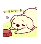 犬のひなたくん（個別スタンプ：19）